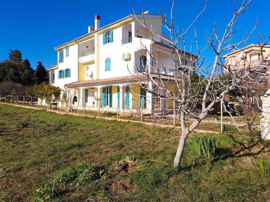 Apartment Laurus Premantura Exteriér fotografie